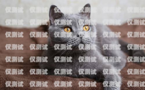 阜阳蓝猫电销卡——通讯领域的创新选择阜阳蓝猫电销卡在哪办