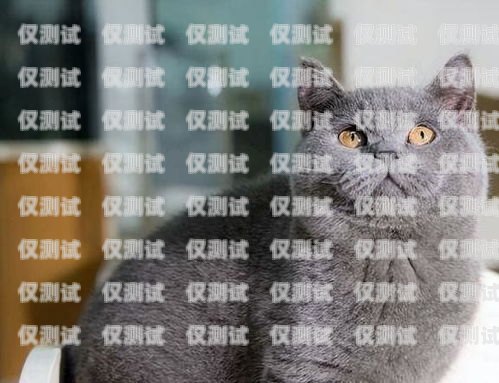 阜阳蓝猫电销卡——通讯领域的创新选择阜阳蓝猫电销卡在哪办