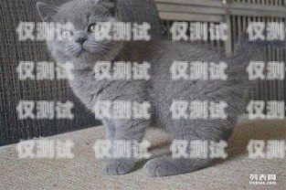 阜阳蓝猫电销卡——通讯领域的创新选择阜阳蓝猫电销卡在哪办