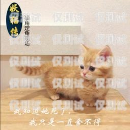 揭秘西安蓝猫电销卡——合法与风险并存的销售利器西安蓝猫电销卡怎么办理