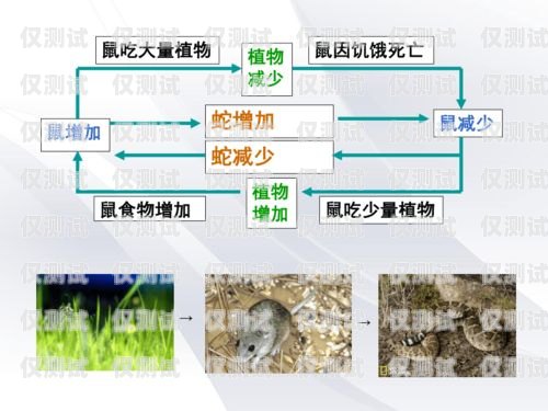 沈阳外呼系统稳定吗？沈阳外呼公司