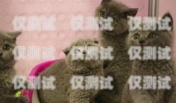 揭秘无锡蓝猫电销卡——合法合规的电销神器无锡蓝猫电销卡怎么办理