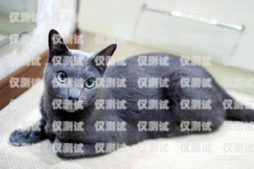 蓝猫电销卡激活要钱吗？多少钱？蓝猫电销卡激活要钱吗多少钱一张