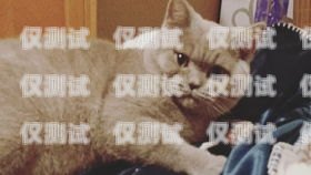 蓝猫电销卡使用指南蓝猫电销卡怎么样使用教程视频