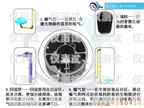 汶上智能外呼系统，提升客户体验的创新工具山东智能外呼系统价格