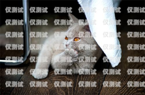 大理蓝猫电销卡——高效通讯的新选择大理蓝猫电销卡怎么办理